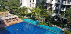 Terrasse (D19), Condominium #251401901